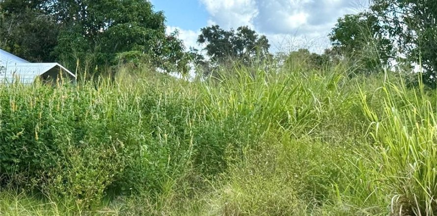 Terrain à Palmetto, Floride № 2106401