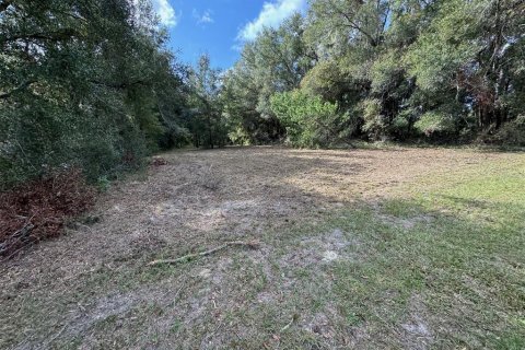 Terrain à vendre à DeLand, Floride № 1444355 - photo 26