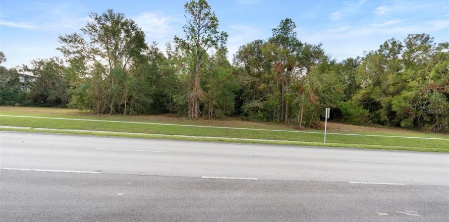 Terrain à DeLand, Floride № 1444355