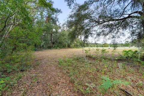 Terrain à vendre à DeLand, Floride № 1444355 - photo 29