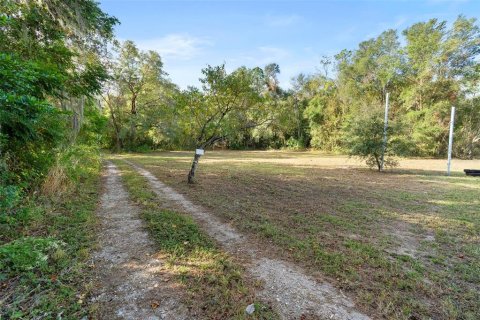 Terrain à vendre à DeLand, Floride № 1444355 - photo 25