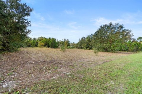 Terrain à vendre à DeLand, Floride № 1444355 - photo 21