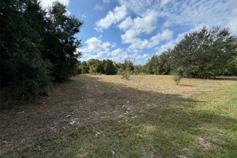 Terrain à vendre à DeLand, Floride № 1444355 - photo 28