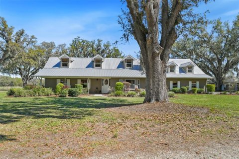 Villa ou maison à vendre à Fish Hawk, Floride: 4 chambres, 304.25 m2 № 1901475 - photo 2