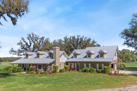 Villa ou maison à vendre à Fish Hawk, Floride: 4 chambres, 304.25 m2 № 1901475 - photo 1