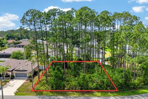 Land in Palm Coast, Florida № 2102896 - photo 13