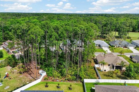 Land in Palm Coast, Florida № 2102896 - photo 7