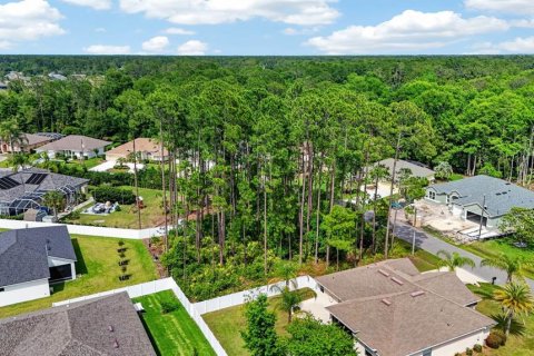 Land in Palm Coast, Florida № 2102896 - photo 5