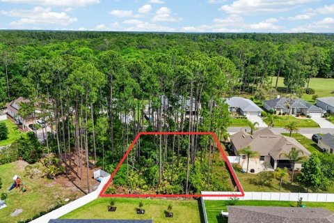 Land in Palm Coast, Florida № 2102896 - photo 8