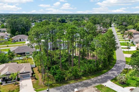 Land in Palm Coast, Florida № 2102896 - photo 2