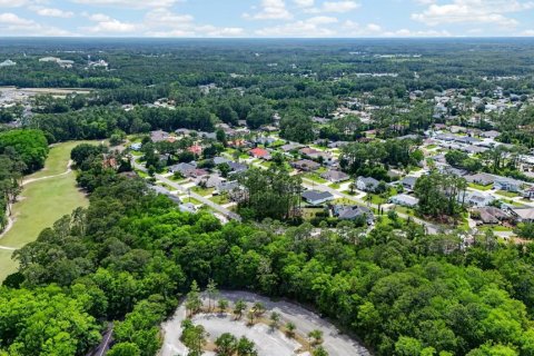 Land in Palm Coast, Florida № 2102896 - photo 15