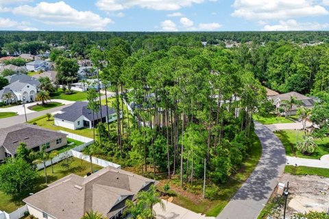 Land in Palm Coast, Florida № 2102896 - photo 3