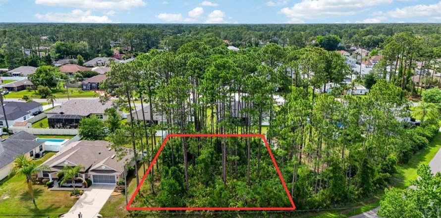 Land in Palm Coast, Florida № 2102896