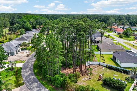 Land in Palm Coast, Florida № 2102896 - photo 10