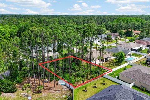 Land in Palm Coast, Florida № 2102896 - photo 9