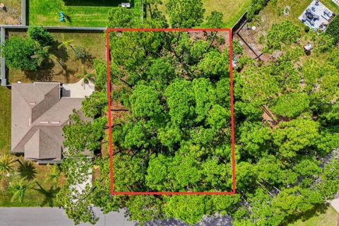 Land in Palm Coast, Florida № 2102896 - photo 11