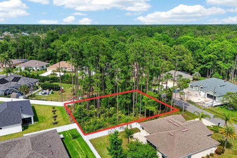 Land in Palm Coast, Florida № 2102896 - photo 6