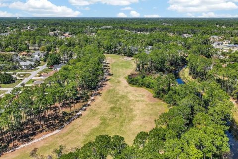 Land in Palm Coast, Florida № 2102896 - photo 26