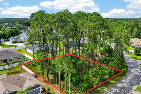 Land in Palm Coast, Florida № 2102896 - photo 12