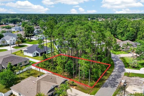 Land in Palm Coast, Florida № 2102896 - photo 4