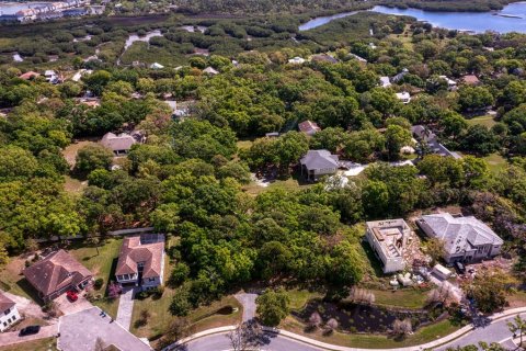 Land in Tampa, Florida № 1789945 - photo 12