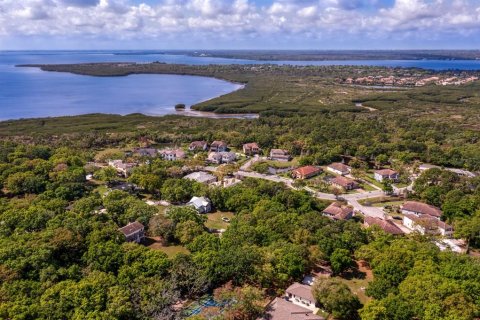 Land in Tampa, Florida № 1789945 - photo 19