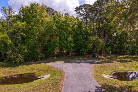 Land in Tampa, Florida № 1789945 - photo 14
