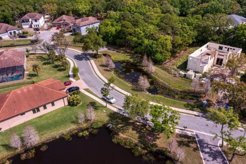 Land in Tampa, Florida № 1789945 - photo 9