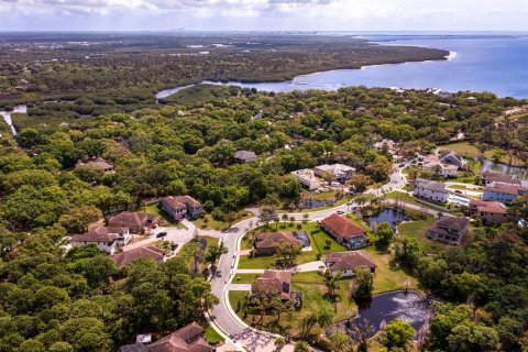 Land in Tampa, Florida № 1789945 - photo 26