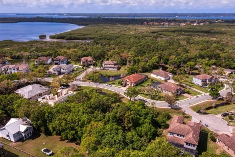 Land in Tampa, Florida № 1789945 - photo 29