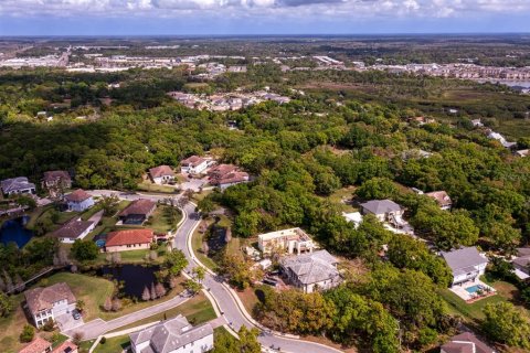 Land in Tampa, Florida № 1789945 - photo 23