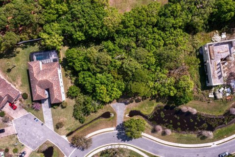 Land in Tampa, Florida № 1789945 - photo 11