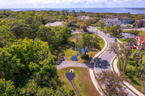 Land in Tampa, Florida № 1789945 - photo 4