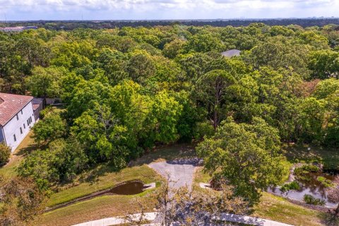 Land in Tampa, Florida № 1789945 - photo 5