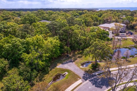 Land in Tampa, Florida № 1789945 - photo 6