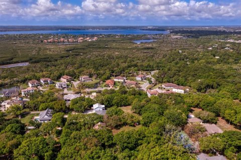 Land in Tampa, Florida № 1789945 - photo 20