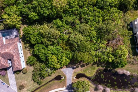 Land in Tampa, Florida № 1789945 - photo 10