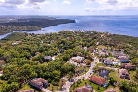 Land in Tampa, Florida № 1789945 - photo 15