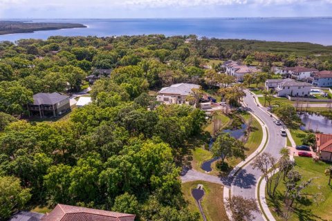Land in Tampa, Florida № 1789945 - photo 3