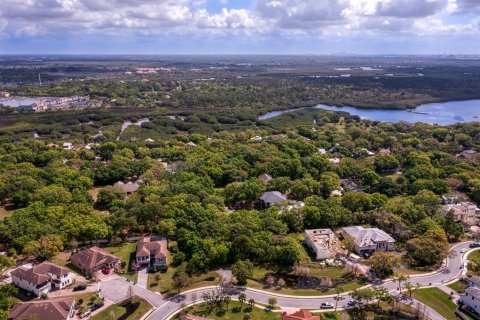 Land in Tampa, Florida № 1789945 - photo 13