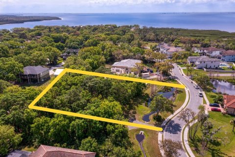 Land in Tampa, Florida № 1789945 - photo 1