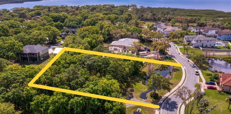 Land in Tampa, Florida № 1789945