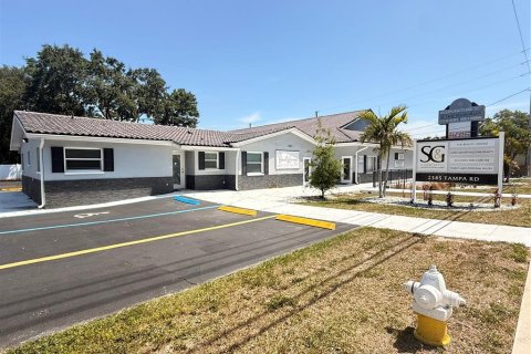 Commercial property in Palm Harbor, Florida 675.12 sq.m. № 1906197 - photo 1