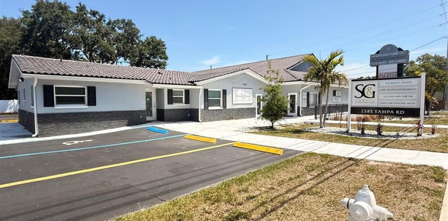 Commercial property in Palm Harbor, Florida 675.12 sq.m. № 1906197