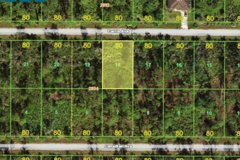 Land in Port Charlotte, Florida № 2160839