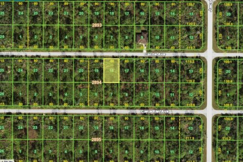Land in Port Charlotte, Florida № 2160839 - photo 2