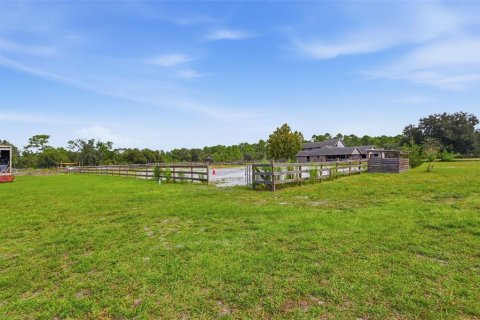 Villa ou maison à vendre à Deltona, Floride: 7 chambres, 467.58 m2 № 2401107 - photo 13