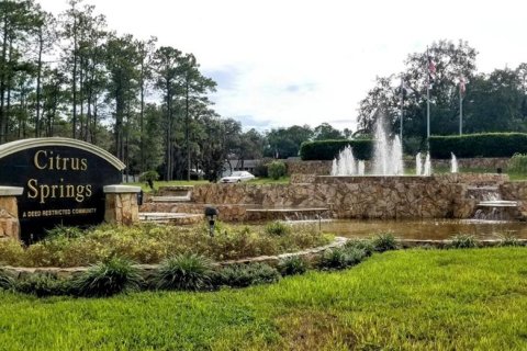 Villa ou maison à vendre à Dunnellon, Floride: 3 chambres, 136.85 m2 № 1902258 - photo 23