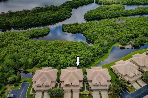 Touwnhouse à vendre à Seminole, Floride: 4 chambres, 257.53 m2 № 1835142 - photo 3