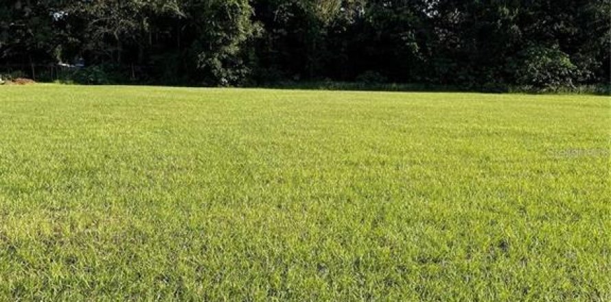 Land in Thonotosassa, Florida № 1880423